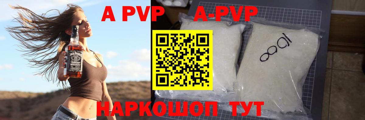 Alfa_PVP СК КРИС Нальчик